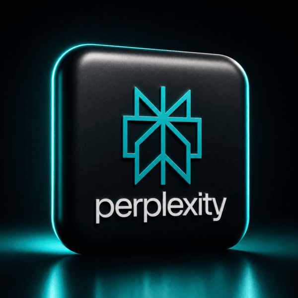 Perplexity